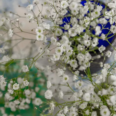 Lägenhet Spacious, Bright And Sunny Apartment, By Timecooler